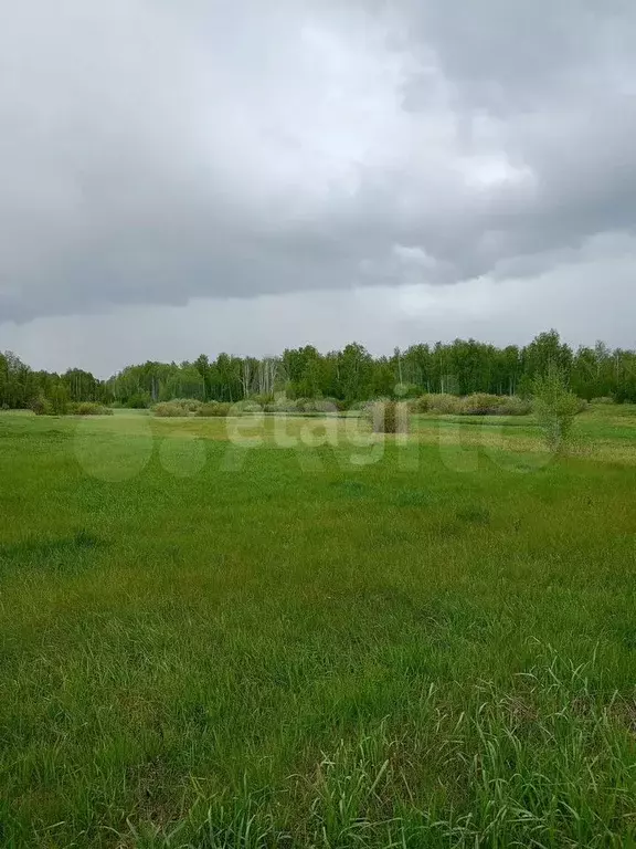 Участок 3,49 га (СНТ, ДНП) - Фото 1