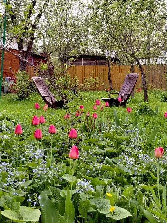 Дом в Калужская область, Таруса ул. Комарова, 12 (70 м) - Фото 1