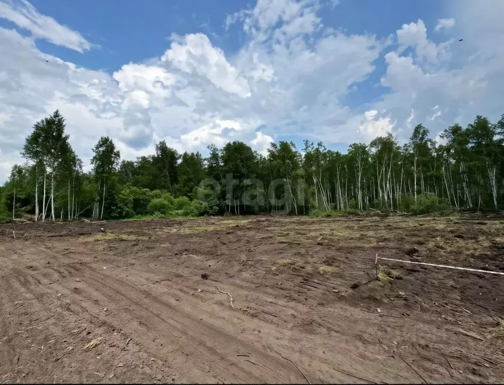 Участок в Новосибирская область, Новосибирский район, Станционный ... - Фото 0