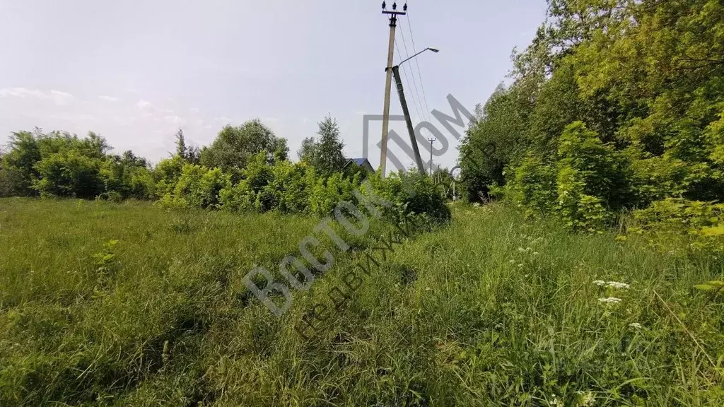Участок в Московская область, Электросталь городской округ, д. Бабеево ... - Фото 1