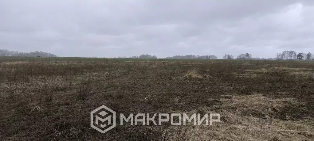 Участок в Брянская область, Брянский район, Добрунское с/пос, д. ... - Фото 2