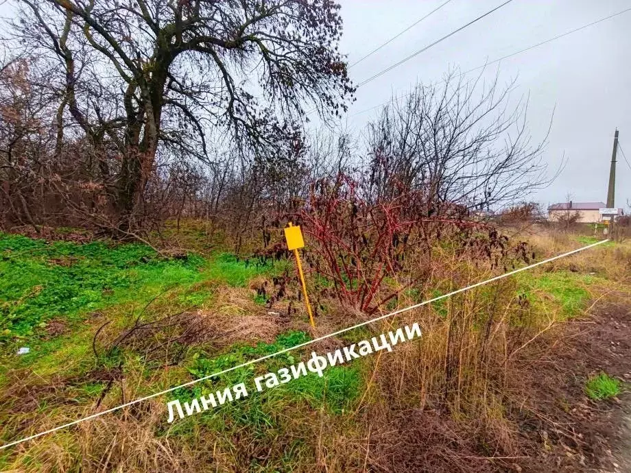 Участок в Краснодарский край, Темрюк Черноморская ул., 154 (9.3 сот.) - Фото 2