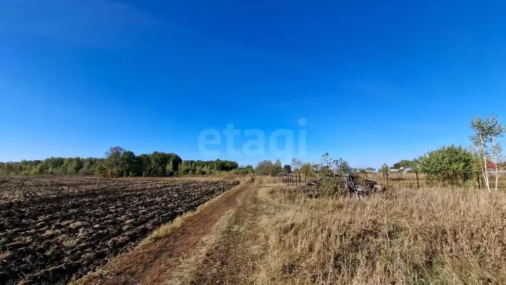 Участок в Башкортостан, Аургазинский район, с. Толбазы ул. Ленина ... - Фото 2