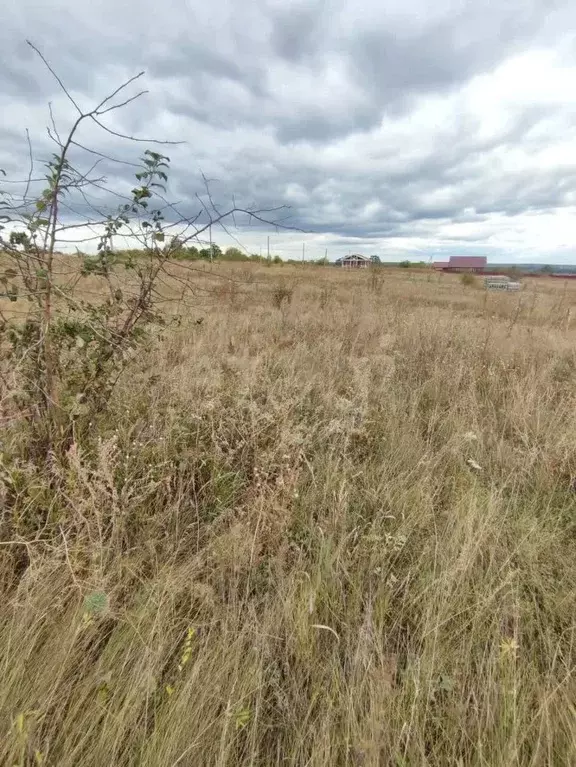 Участок в Воронежская область, Рамонский район, Новоживотинновское ... - Фото 2