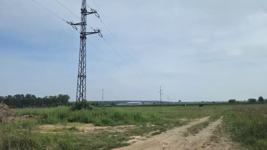 Участок в Московская область, Домодедово городской округ, с. Красный ... - Фото 1