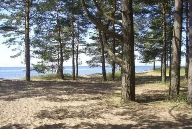 Участок в Ленинградская область, Выборгский район, Полянское с/пос, ... - Фото 0