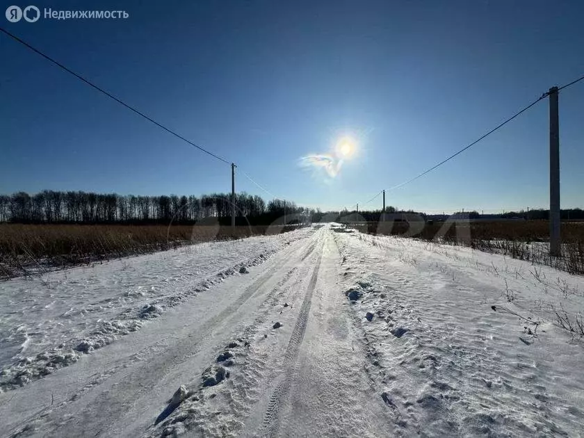 Участок в Червишевское муниципальное образование (8 м) - Фото 0