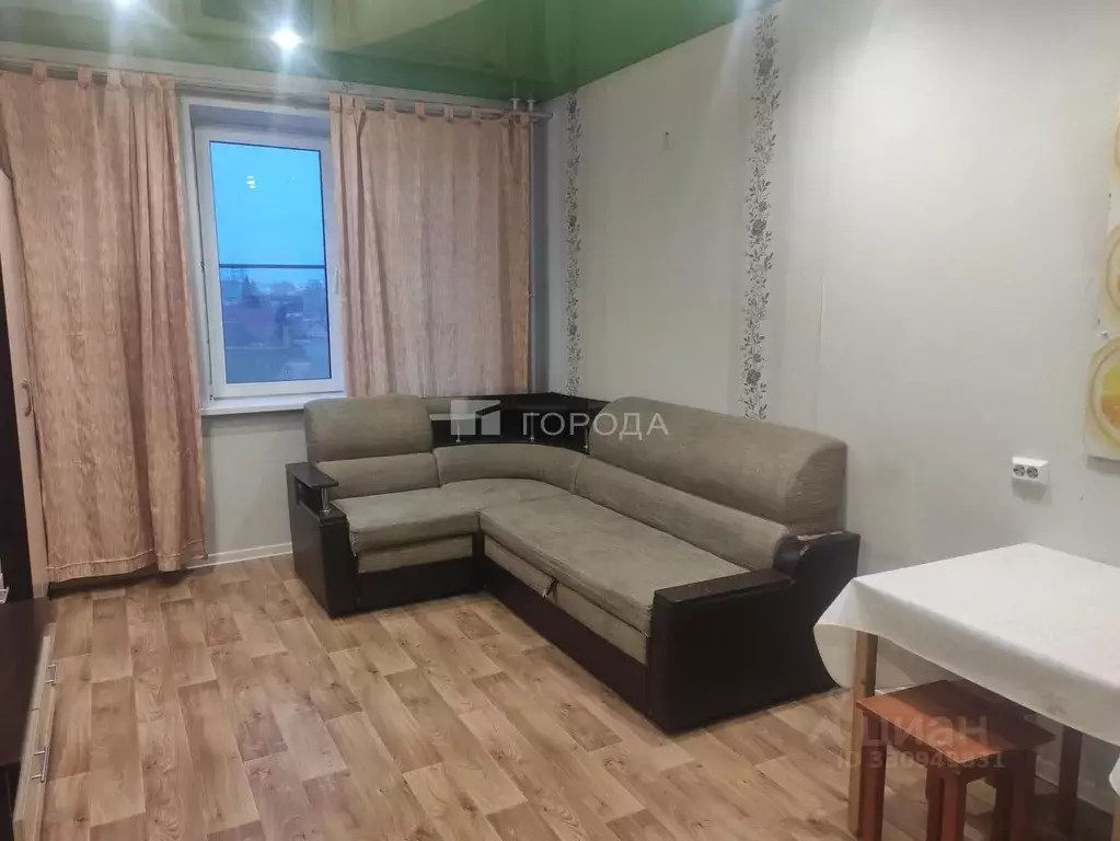 Студия Новосибирская область, Новосибирск ул. Надежды, 6 (27.0 м) - Фото 2