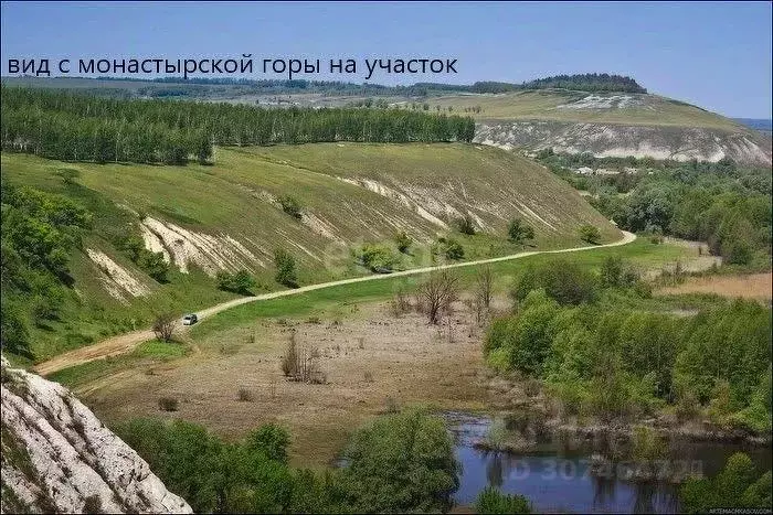 Участок в Воронежская область, Подгоренский район, Белогорьевское ... - Фото 1