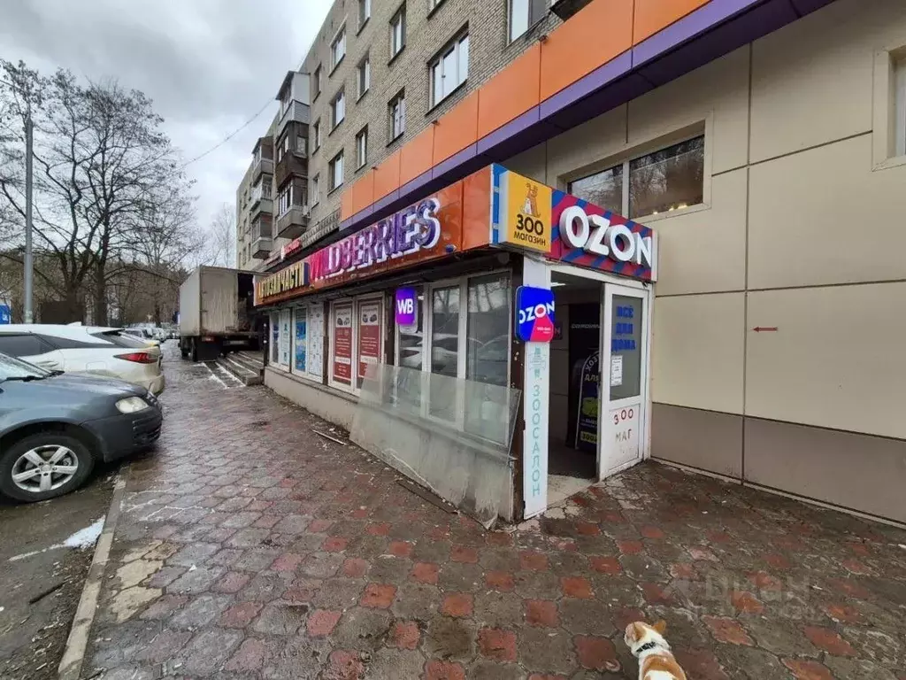 Помещение свободного назначения в Московская область, Балашиха ул. ... - Фото 0