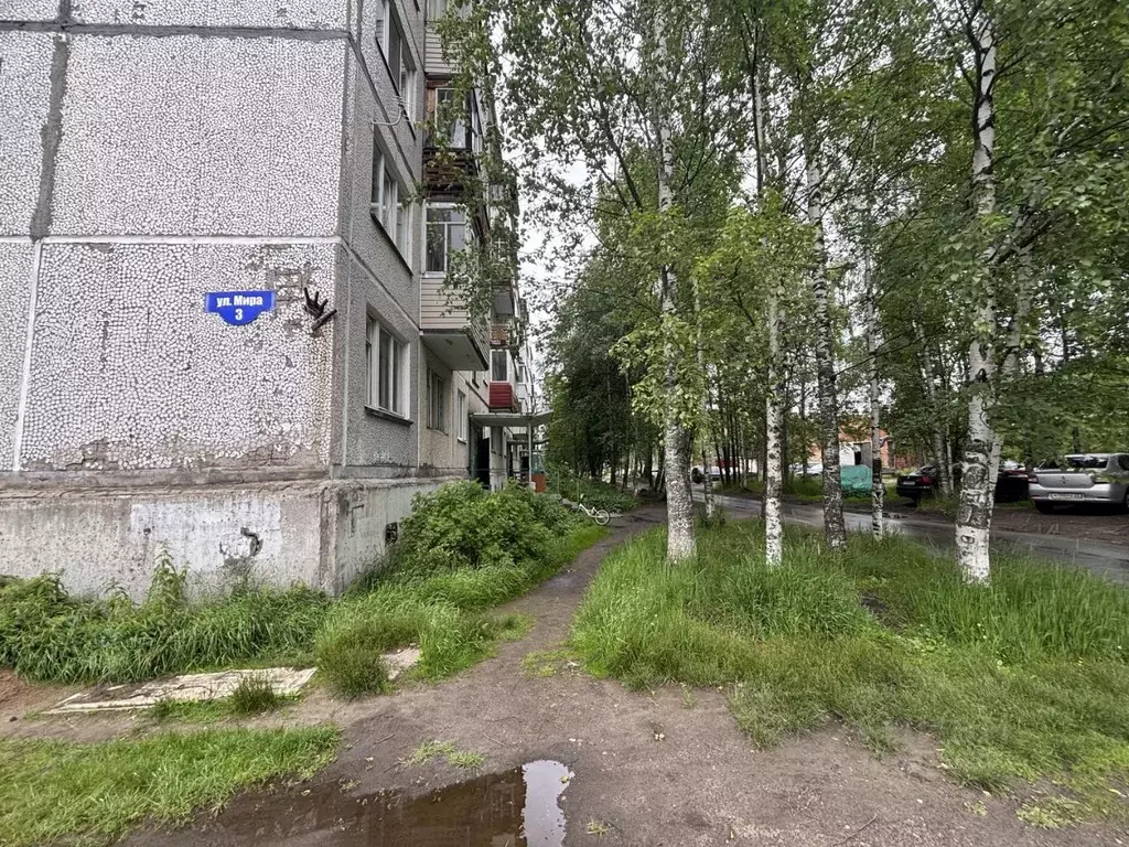 1-к кв. Архангельская область, Архангельск ул. Мира, 3 (31.0 м) - Фото 1