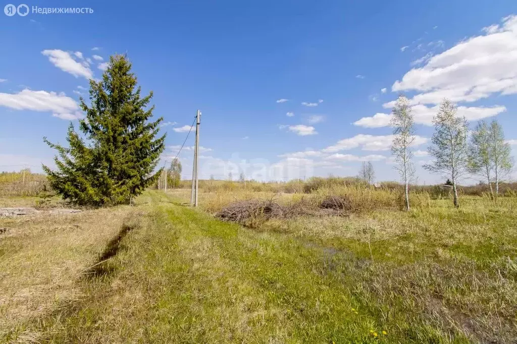 Участок в Тюменская область, Ялуторовский муниципальный округ, ТСН СО ... - Фото 2