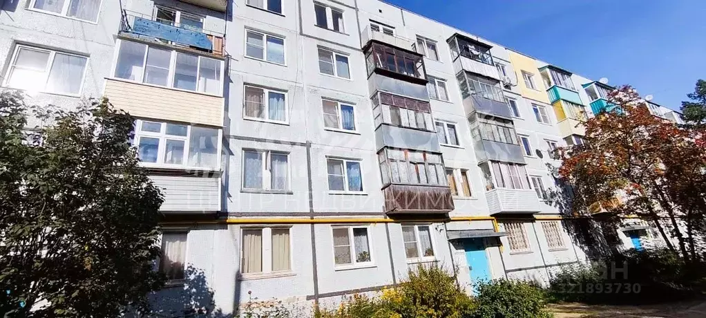 1-к кв. Владимирская область, Александров ул. Фабрика Калинина, 14 ... - Фото 1