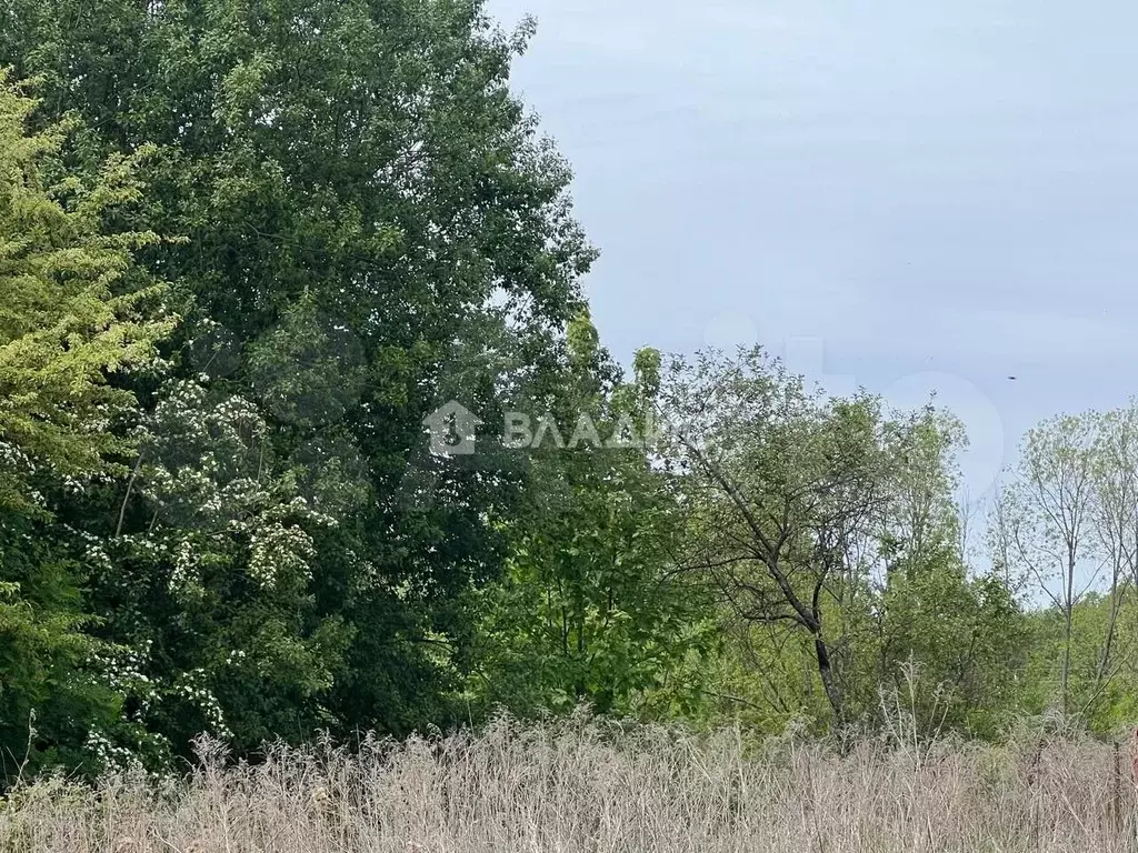 Участок 1,3 га (СНТ, ДНП) - Фото 0