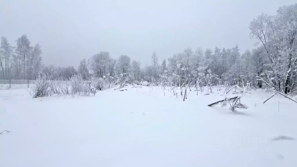 Участок в Ленинградская область, Киришский район, Будогощское ... - Фото 1