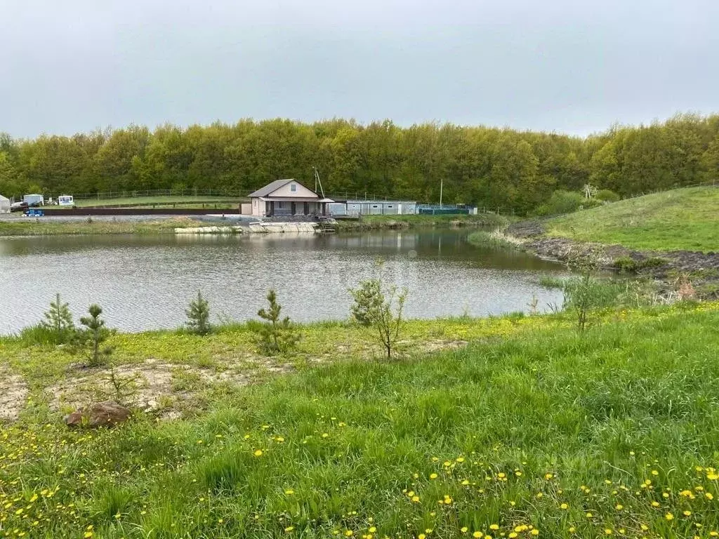 Дом в Мордовия, Рузаевский район, с. Сузгарье Нагорная ул. (80 м) - Фото 1