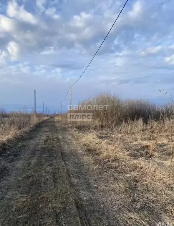 Участок в Тюменская область, Тюмень Большое Царево-1 СНТ,  (9.81 сот.) - Фото 2