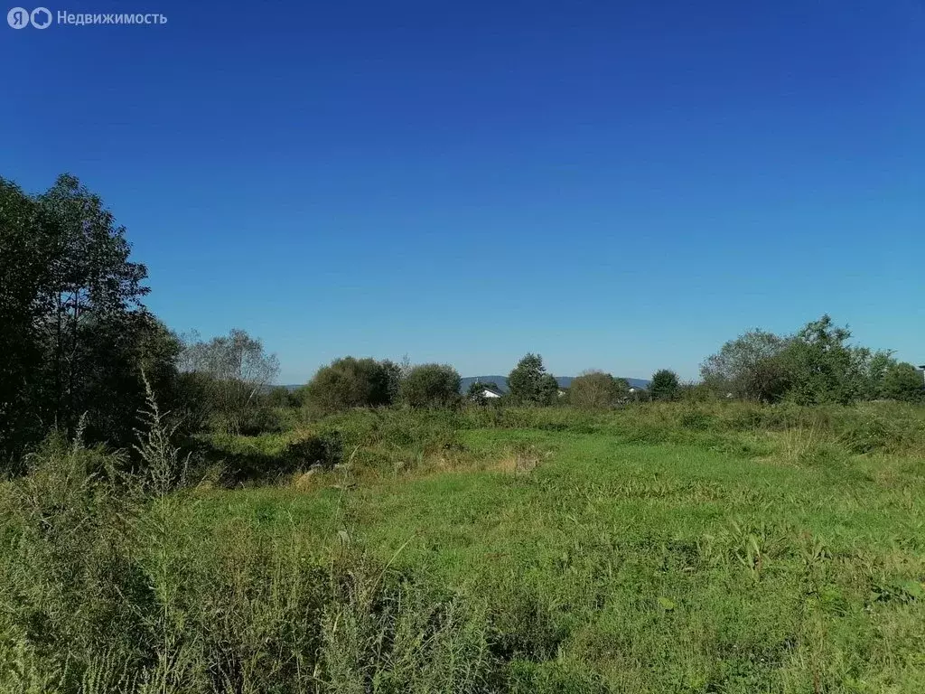 Участок в Артёмовский городской округ, село Ясное, улица Олейника (13 ... - Фото 0