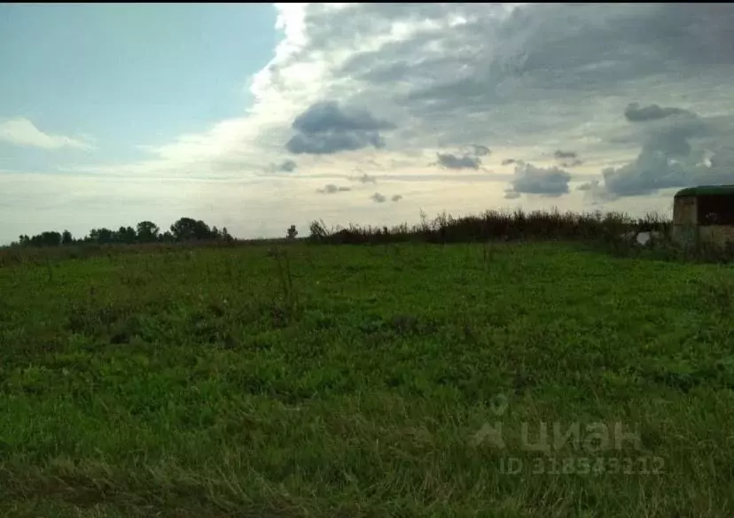 Участок в Башкортостан, Кармаскалинский район, д. Кабаково ул. ... - Фото 0