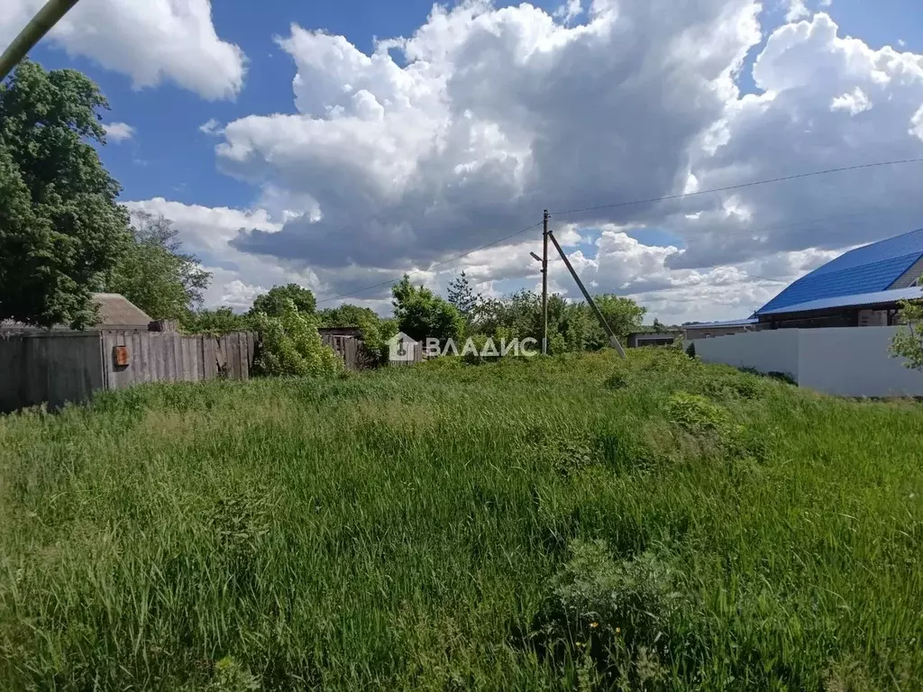 Участок в Белгородская область, Корочанский район, с. Мелихово ... - Фото 2