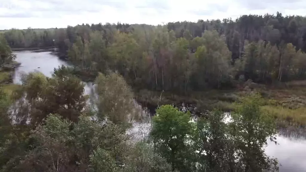 Участок в Приозерский район, Мельниковское сельское поселение, посёлок ... - Фото 2