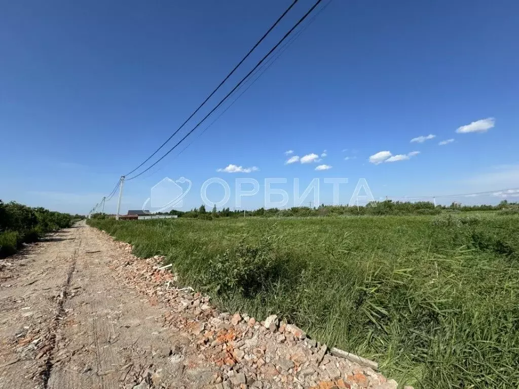 Участок в Тюменская область, Тюмень Большое Царево-1 СНТ,  (9.7 сот.) - Фото 2