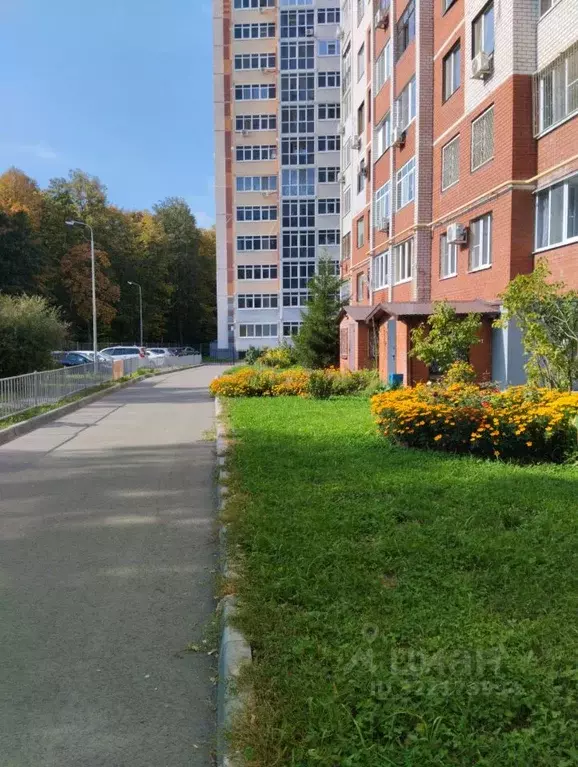 Офис в Татарстан, Казань ул. Дубравная, 38 (14 м) - Фото 2