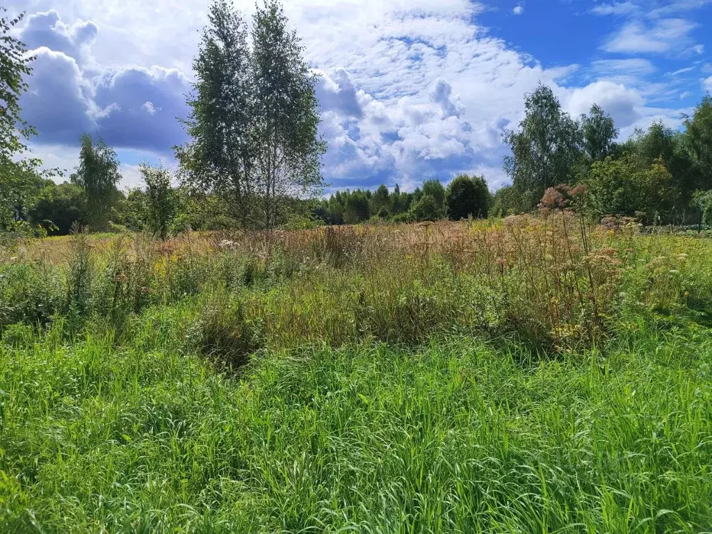 Участок в Московская область, Раменский муниципальный округ, д. ... - Фото 1