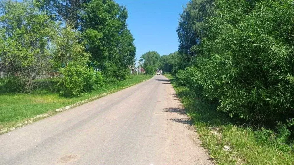 Участок в Владимирская область, Юрьев-Польский район, Небыловское ... - Фото 1