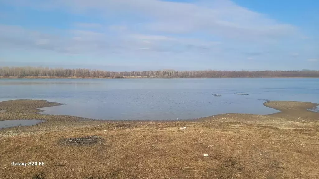 Участок в Новосибирская область, Мошковский район, с. Белоярка  (25.0 ... - Фото 2