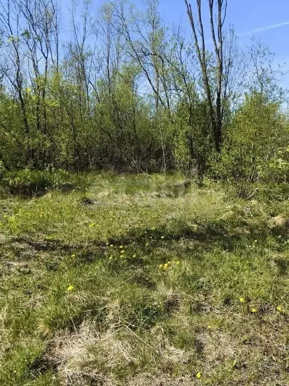 Участок в Вологодская область, Вологда Граничная ул., 37В (15.0 сот.) - Фото 2