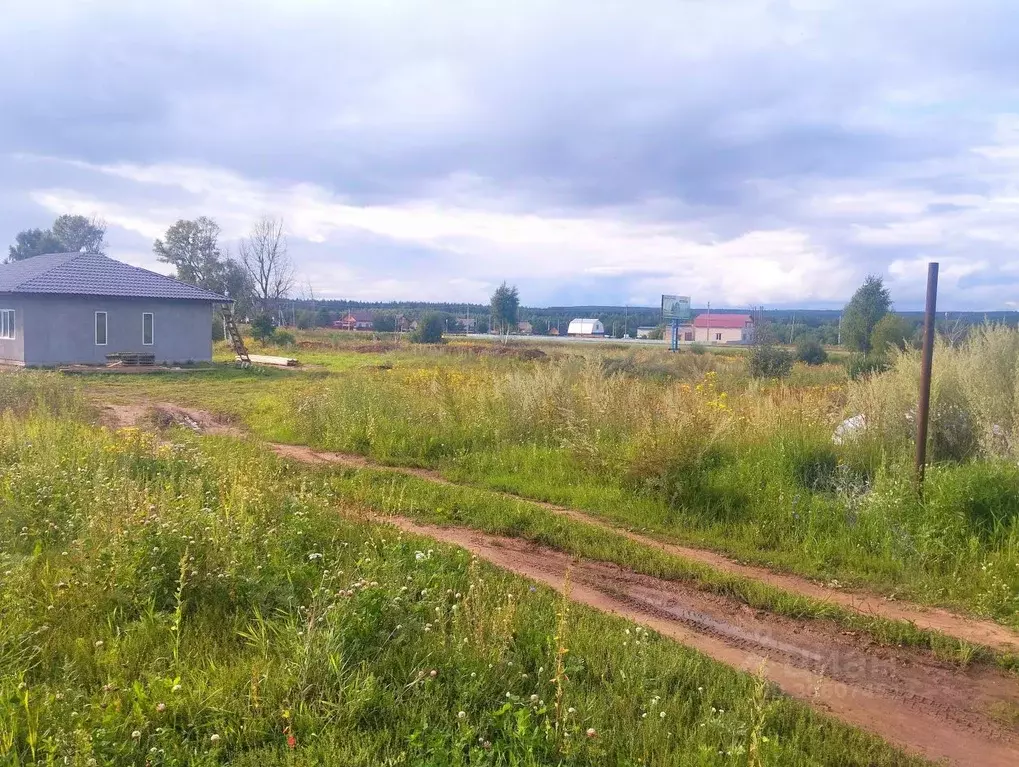 Участок в Пермский край, Чайковский городской округ, д. Гаревая ул. ... - Фото 0