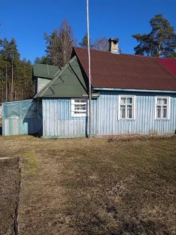 Дом 66 м на участке 23,5 сот. - Фото 1