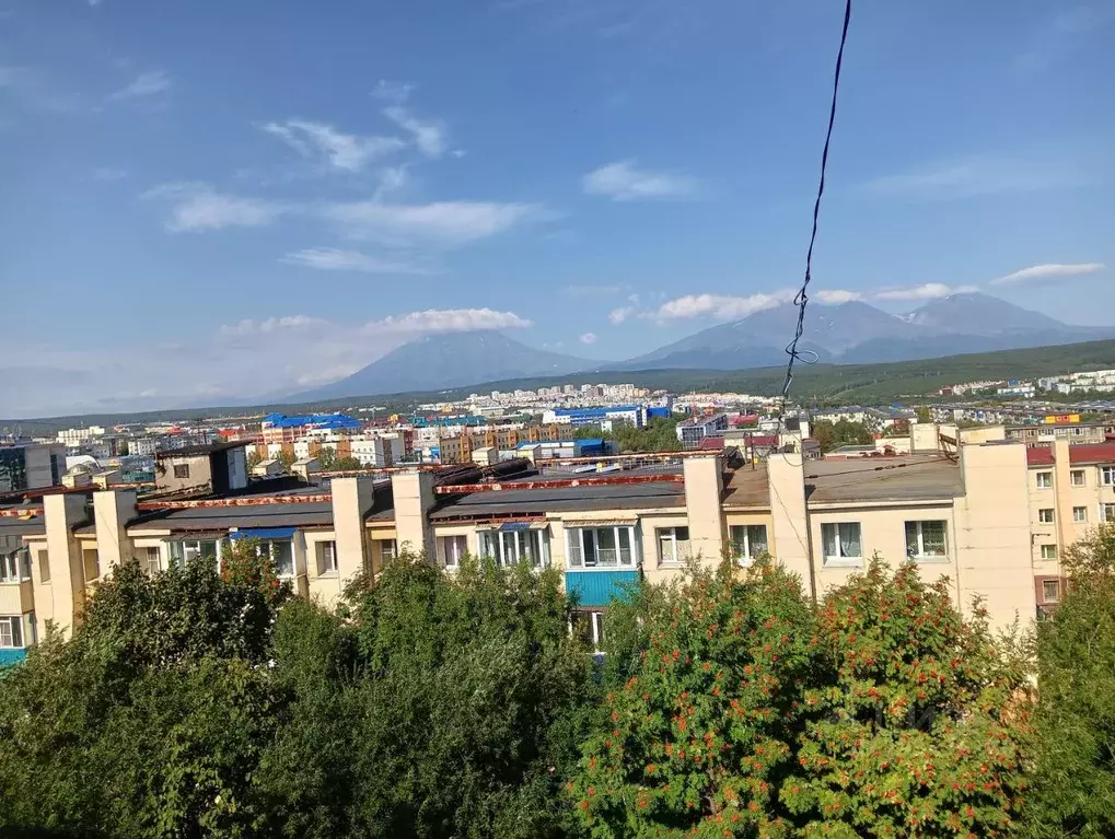 1-к кв. Камчатский край, Петропавловск-Камчатский просп. 50 лет ... - Фото 1