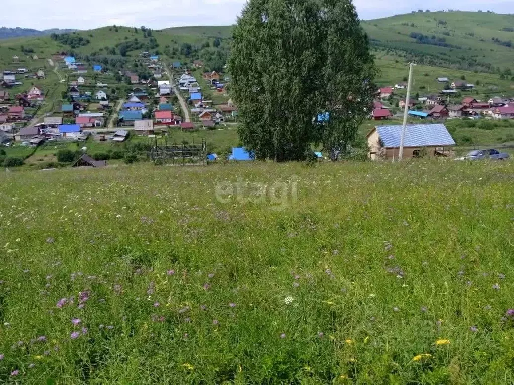 Участок в Алтай, Майминский район, пос. Алферово ул. И.А. Шаркова ... - Фото 1
