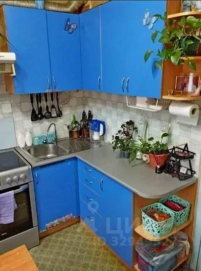 1-к кв. Санкт-Петербург ул. Цимбалина, 23 (37.0 м) - Фото 1