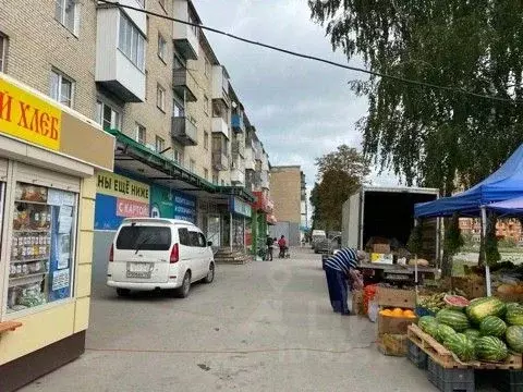Торговая площадь в Тульская область, Новомосковск ул. Мира, 22 (256 м) - Фото 2