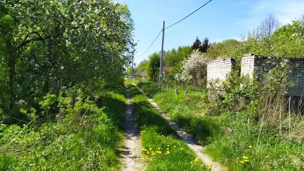 Участок в Калининградская область, Калининград Балтиец СНТ, проезд ... - Фото 0