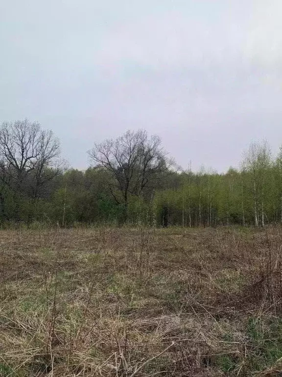 Участок в Калужская область, Дзержинский район, Льва Толстого с/пос, ... - Фото 2