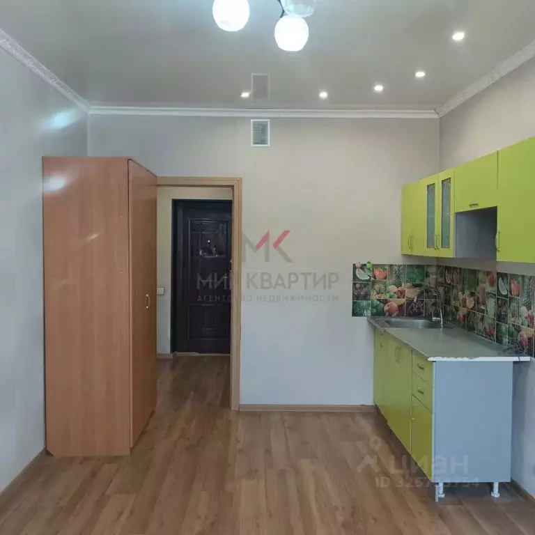 Студия Хакасия, Абакан просп. Дружбы Народов, 39 (21.1 м) - Фото 1