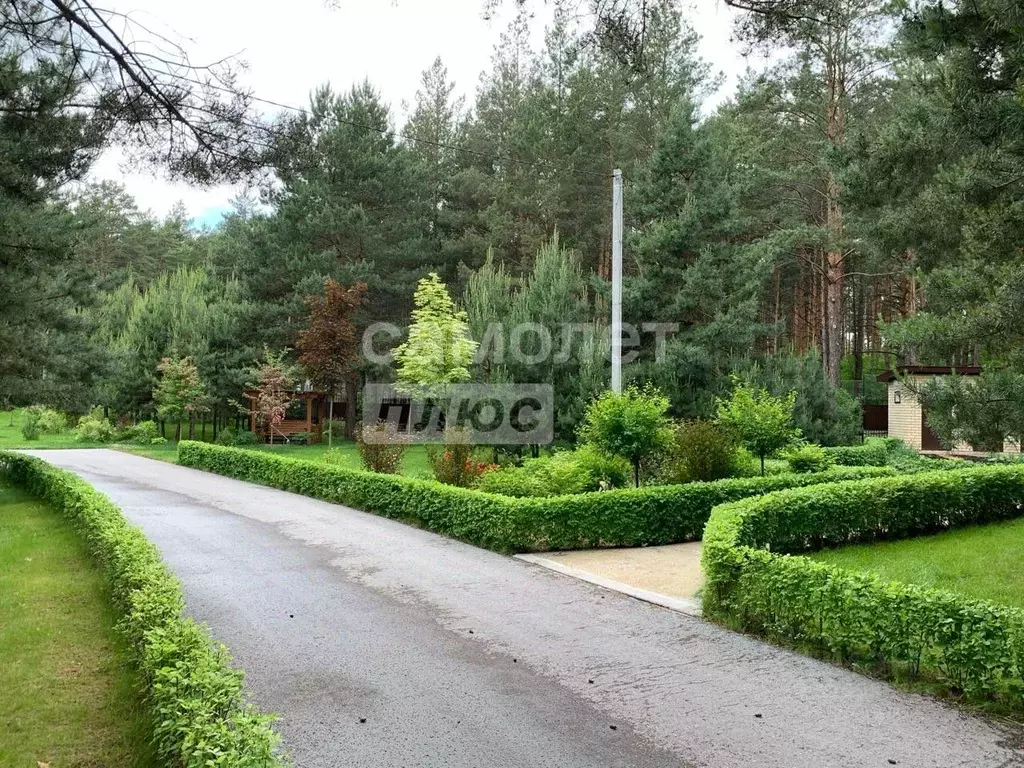 Участок в Липецкая область, Добровский муниципальный округ, с. ... - Фото 1