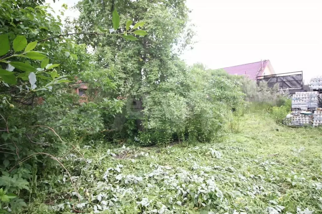 Участок 4 сот. (СНТ, ДНП) - Фото 0