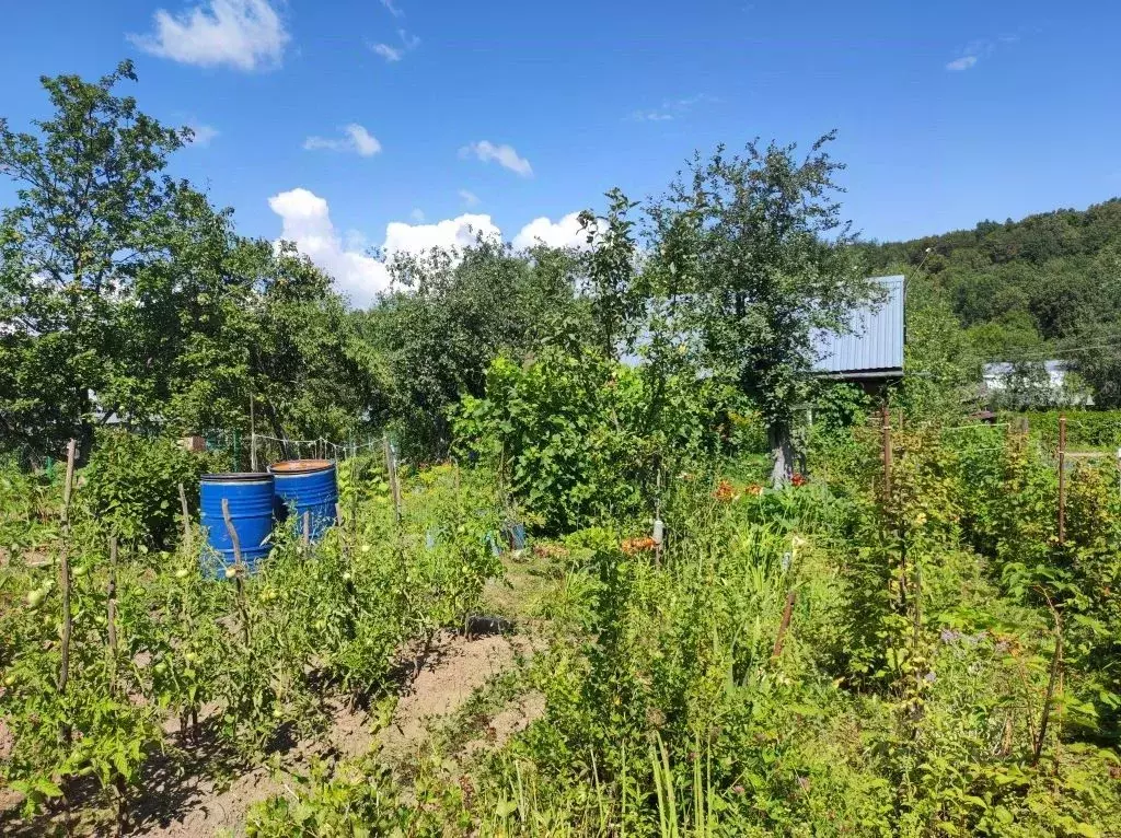 Участок в Нижегородская область, Нижний Новгород Дубрава СНТ, 102 (4.0 ... - Фото 0