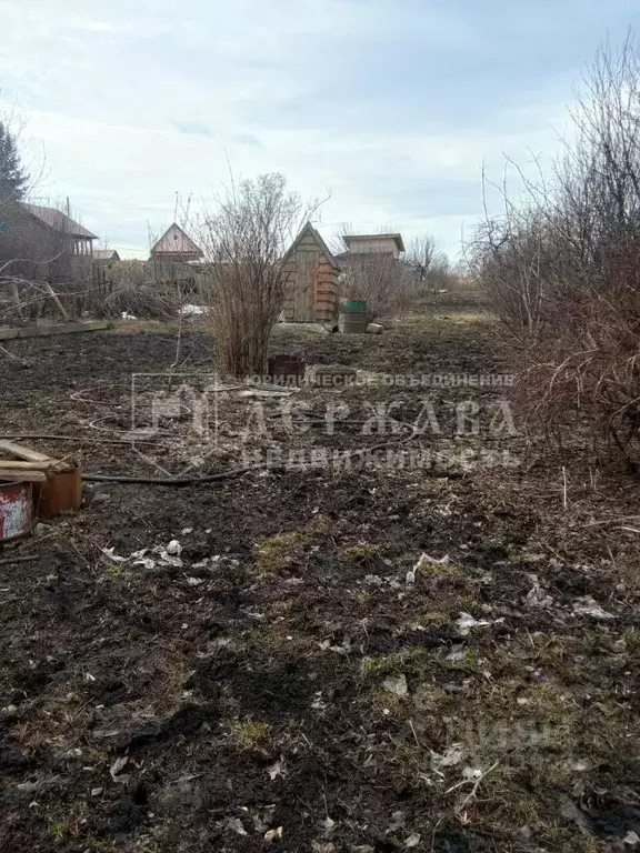 Участок в Кемеровская область, Кемерово Мичуринец СНТ, аллея 1-я (8.5 ... - Фото 0
