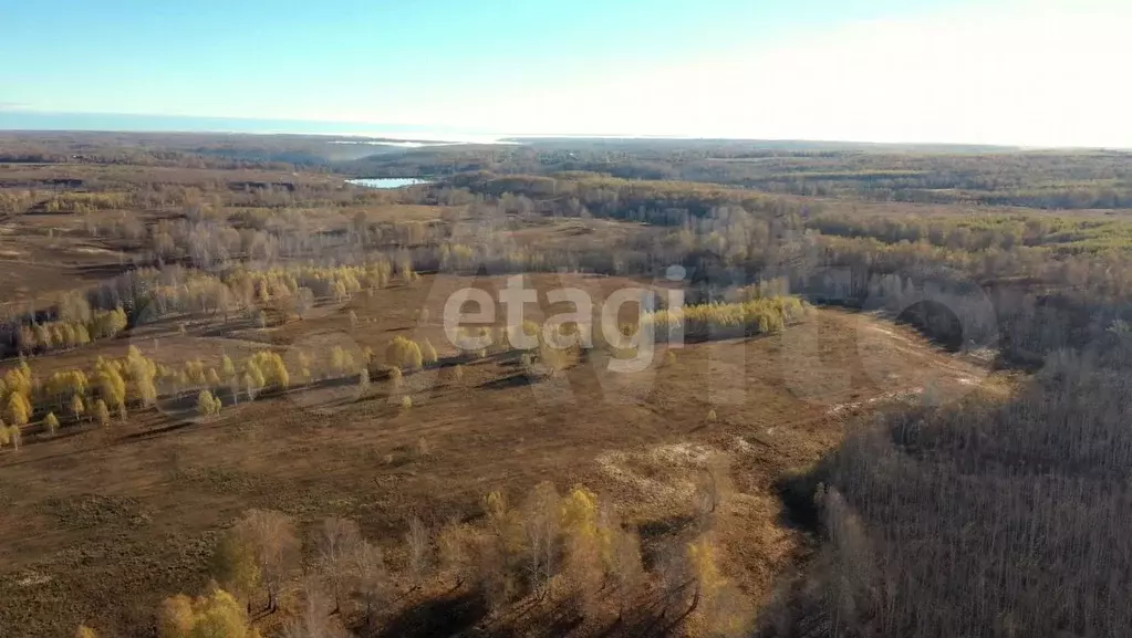 Участок 23,1 сот. (СНТ, ДНП) - Фото 1