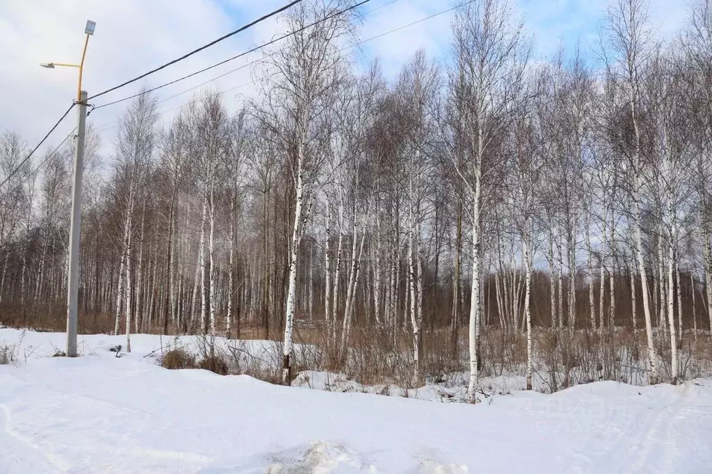 Участок в Тюменская область, Нижнетавдинский район, д. Штакульская  ... - Фото 0