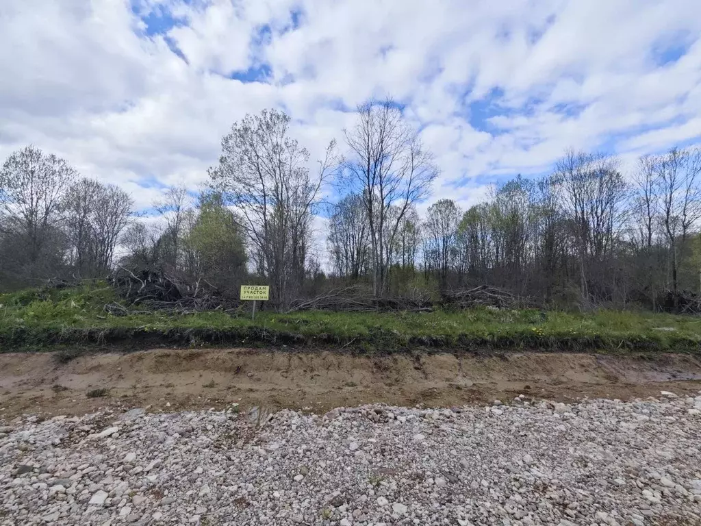 Участок в Новгородская область, Новгородский район, Ермолинское с/пос, ... - Фото 1