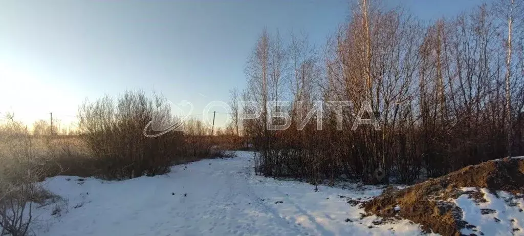 Участок в Тюменская область, Тюмень Поле Чудес садовое товарищество, ... - Фото 0