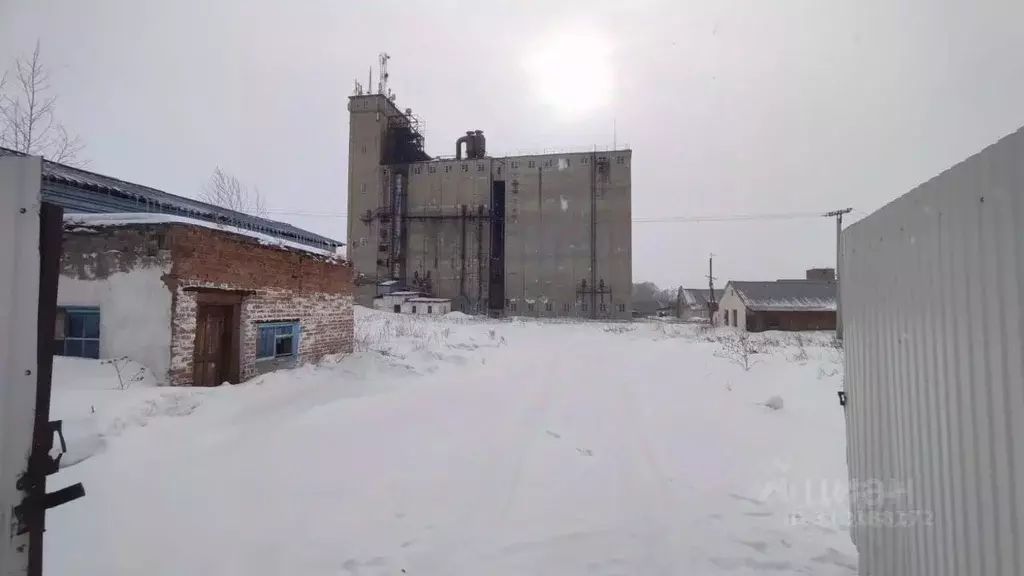 Производственное помещение в Новосибирская область, Тогучинский район, ... - Фото 0