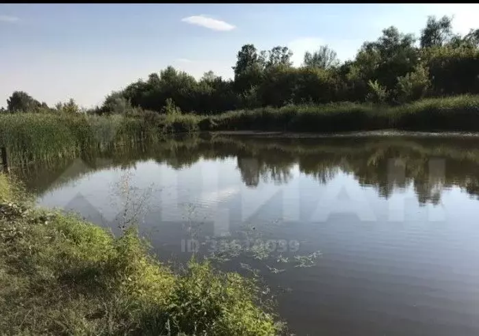 Купить Участок Кинельский Район Самарская Область